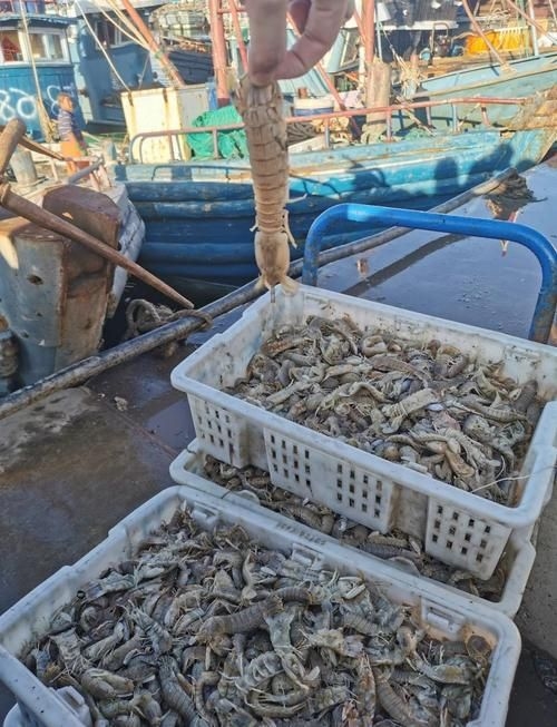 煙臺(tái)水族批發(fā)市場(煙臺(tái)水族批發(fā)市場和祥龍魚場有哪些知名品種和營銷策略) 行業(yè)新聞 第3張 煙臺(tái)水族批發(fā)市場(煙臺(tái)水族批發(fā)市場和祥龍魚場有哪些知名品種和營銷策略) 行業(yè)新聞 第3張