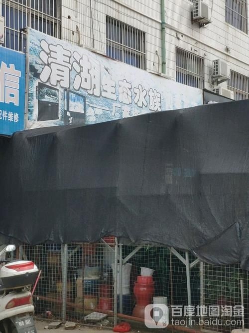 許昌水族批發(fā)市場（許昌水族批發(fā)市場和祥龍魚場的分析來啦，我?guī)湍闶崂砹撕诵男畔⒑蛨D文資料） 行業(yè)新聞 第1張