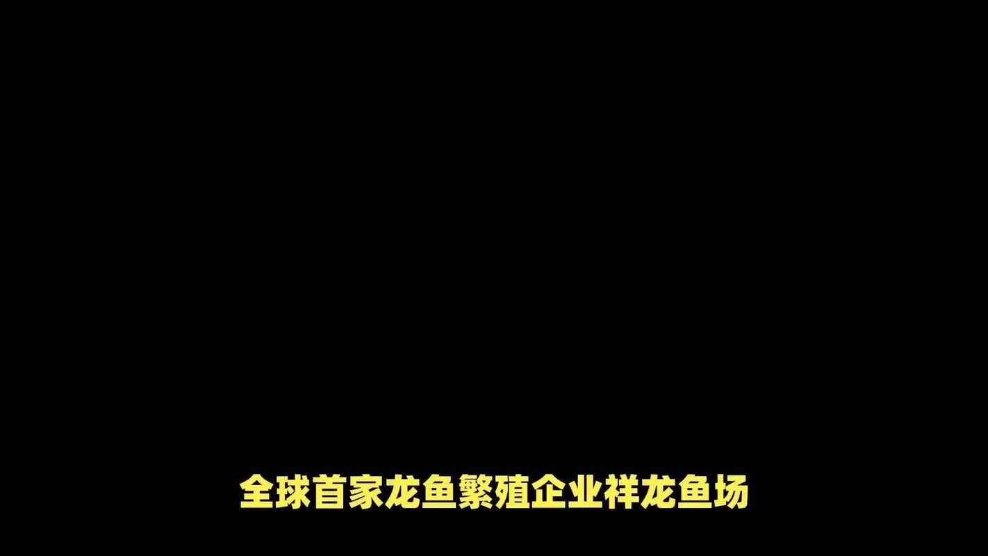 許昌水族批發(fā)市場（許昌水族批發(fā)市場和祥龍魚場的分析來啦，我?guī)湍闶崂砹撕诵男畔⒑蛨D文資料） 行業(yè)新聞 第3張