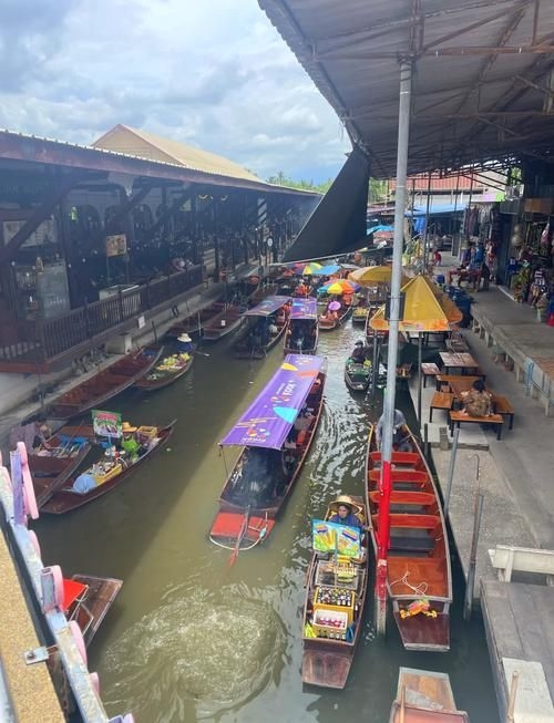 許昌水族批發(fā)市場（許昌水族批發(fā)市場和祥龍魚場的分析來啦，我?guī)湍闶崂砹撕诵男畔⒑蛨D文資料） 行業(yè)新聞 第10張