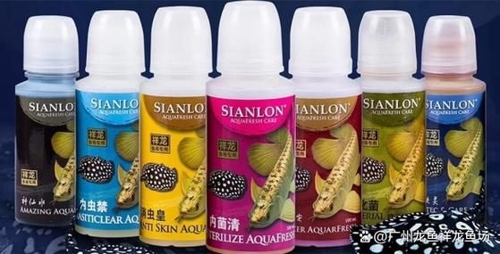 許昌水族批發(fā)市場（許昌水族批發(fā)市場和祥龍魚場的分析來啦，我?guī)湍闶崂砹撕诵男畔⒑蛨D文資料） 行業(yè)新聞 第13張