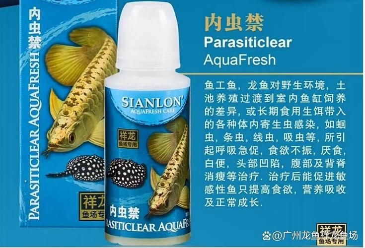 許昌水族批發(fā)市場（許昌水族批發(fā)市場和祥龍魚場的分析來啦，我?guī)湍闶崂砹撕诵男畔⒑蛨D文資料） 行業(yè)新聞 第15張