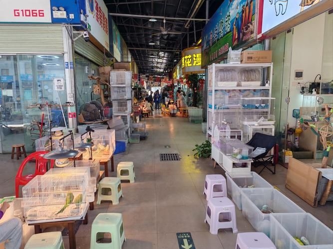 安慶觀賞魚批發(fā)市場(chǎng) 行業(yè)新聞 第6張 安慶觀賞魚批發(fā)市場(chǎng) 行業(yè)新聞 第6張