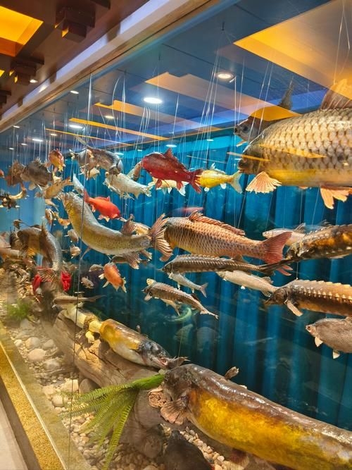 安慶觀賞魚批發(fā)市場(chǎng) 行業(yè)新聞 第7張 安慶觀賞魚批發(fā)市場(chǎng) 行業(yè)新聞 第7張