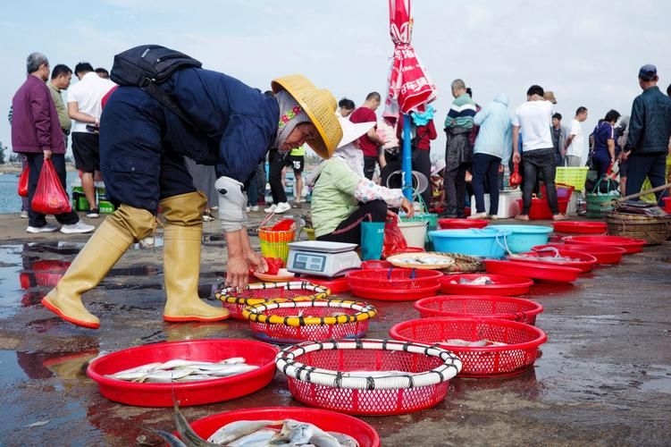 安慶觀賞魚批發(fā)市場(chǎng) 行業(yè)新聞 第10張