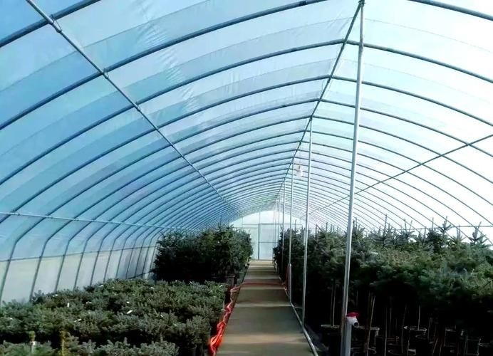 給我一些鋼棚搭建的圖片參考（給我一些鋼棚搭建的圖片參考,給我一些鋼棚搭建的圖片參考來啦） 行業(yè)新聞 第17張