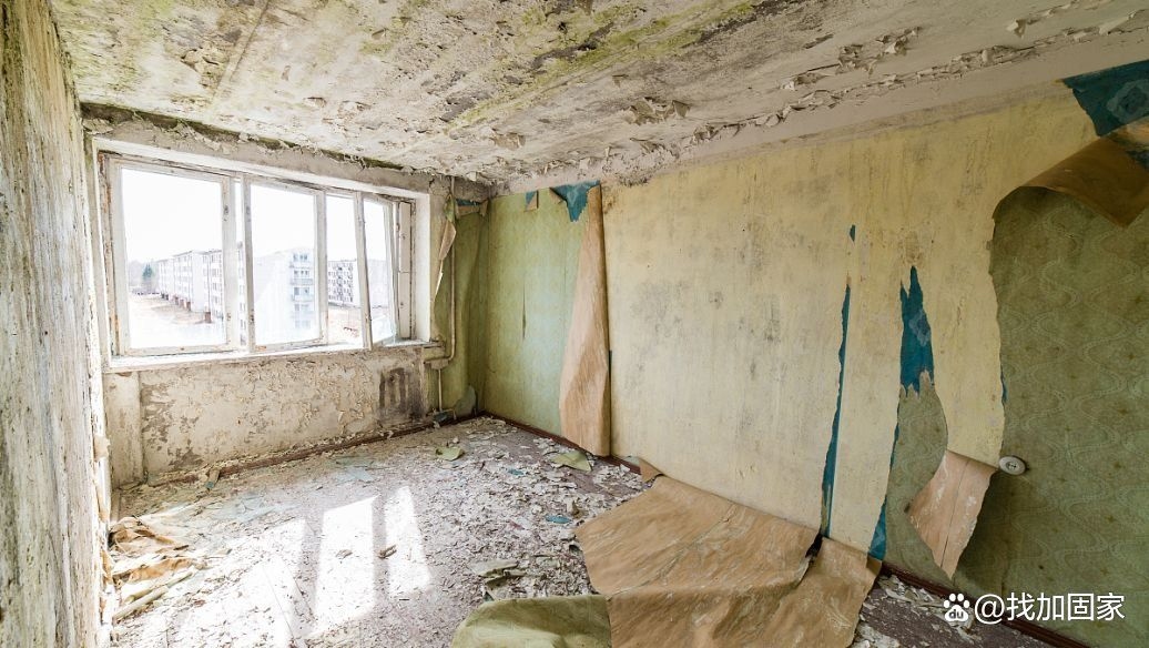 混磚房承重墻能拆除嗎？（上海高院，拆除承重墻后怎么處理） 行業(yè)新聞 第7張