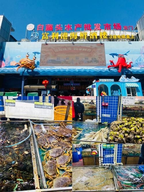 菏澤龍魚(yú)批發(fā)市場(chǎng)（菏澤龍魚(yú)批發(fā)市場(chǎng)1.高端龍魚(yú)品牌祥龍魚(yú)場(chǎng)-） 行業(yè)新聞 第15張