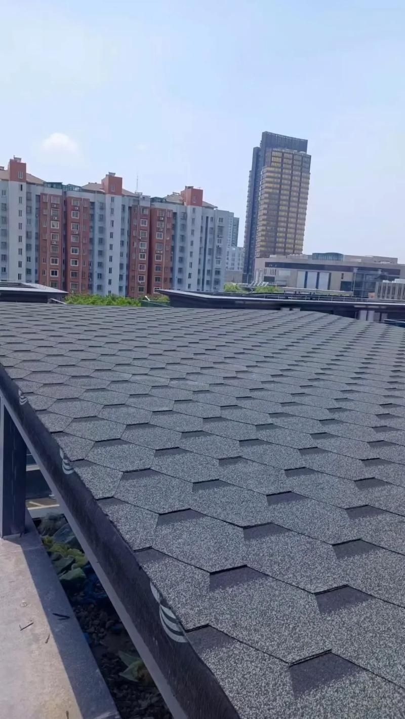 給我一些民用鋼結(jié)構(gòu)屋頂?shù)膱D片（民用鋼結(jié)構(gòu)屋頂實(shí)拍圖） 行業(yè)新聞 第12張