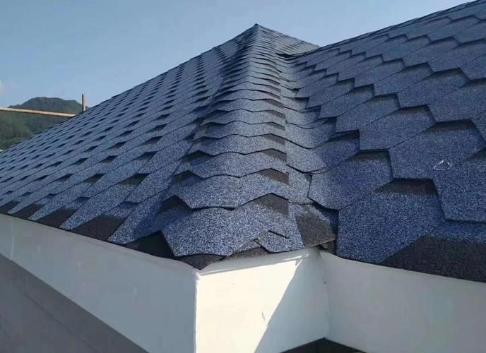 給我一些民用鋼結(jié)構(gòu)屋頂?shù)膱D片（民用鋼結(jié)構(gòu)屋頂實(shí)拍圖） 行業(yè)新聞 第13張