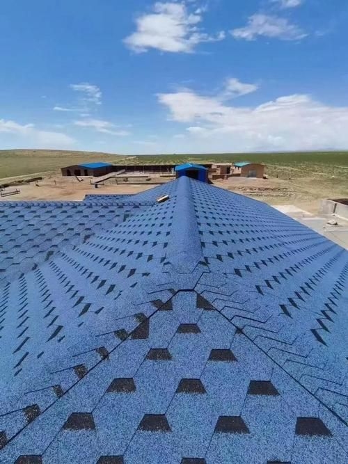 給我一些民用鋼結(jié)構(gòu)屋頂?shù)膱D片（民用鋼結(jié)構(gòu)屋頂實(shí)拍圖） 行業(yè)新聞 第15張