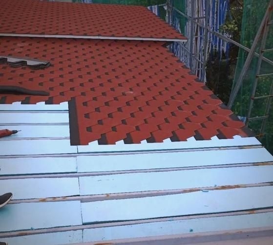 給我一些民用鋼結(jié)構(gòu)屋頂?shù)膱D片（民用鋼結(jié)構(gòu)屋頂實(shí)拍圖） 行業(yè)新聞 第22張