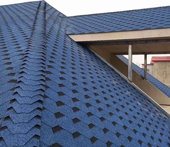 給我一些民用鋼結(jié)構(gòu)屋頂?shù)膱D片（民用鋼結(jié)構(gòu)屋頂實(shí)拍圖） 行業(yè)新聞 第23張