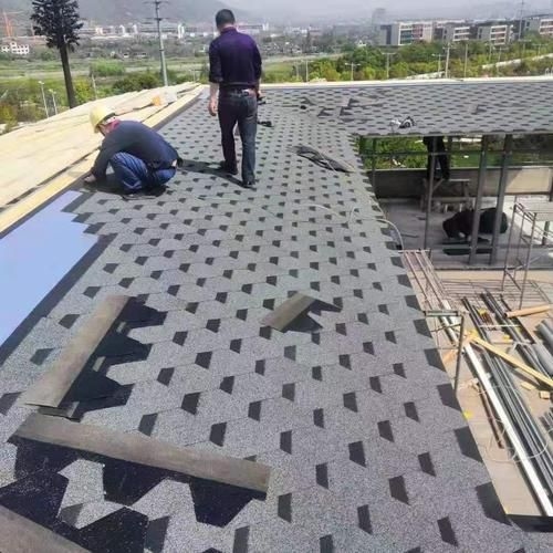 給我一些民用鋼結(jié)構(gòu)屋頂?shù)膱D片（民用鋼結(jié)構(gòu)屋頂實(shí)拍圖） 行業(yè)新聞 第27張