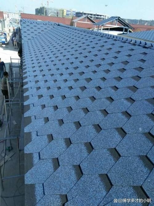 給我一些民用鋼結(jié)構(gòu)屋頂?shù)膱D片（民用鋼結(jié)構(gòu)屋頂實(shí)拍圖） 行業(yè)新聞 第30張