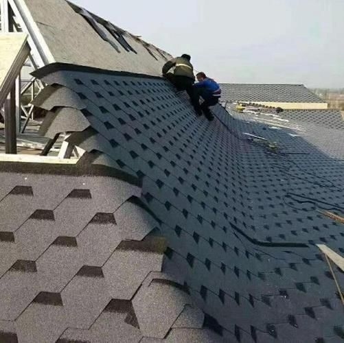 給我一些民用鋼結(jié)構(gòu)屋頂?shù)膱D片（民用鋼結(jié)構(gòu)屋頂實(shí)拍圖） 行業(yè)新聞 第32張