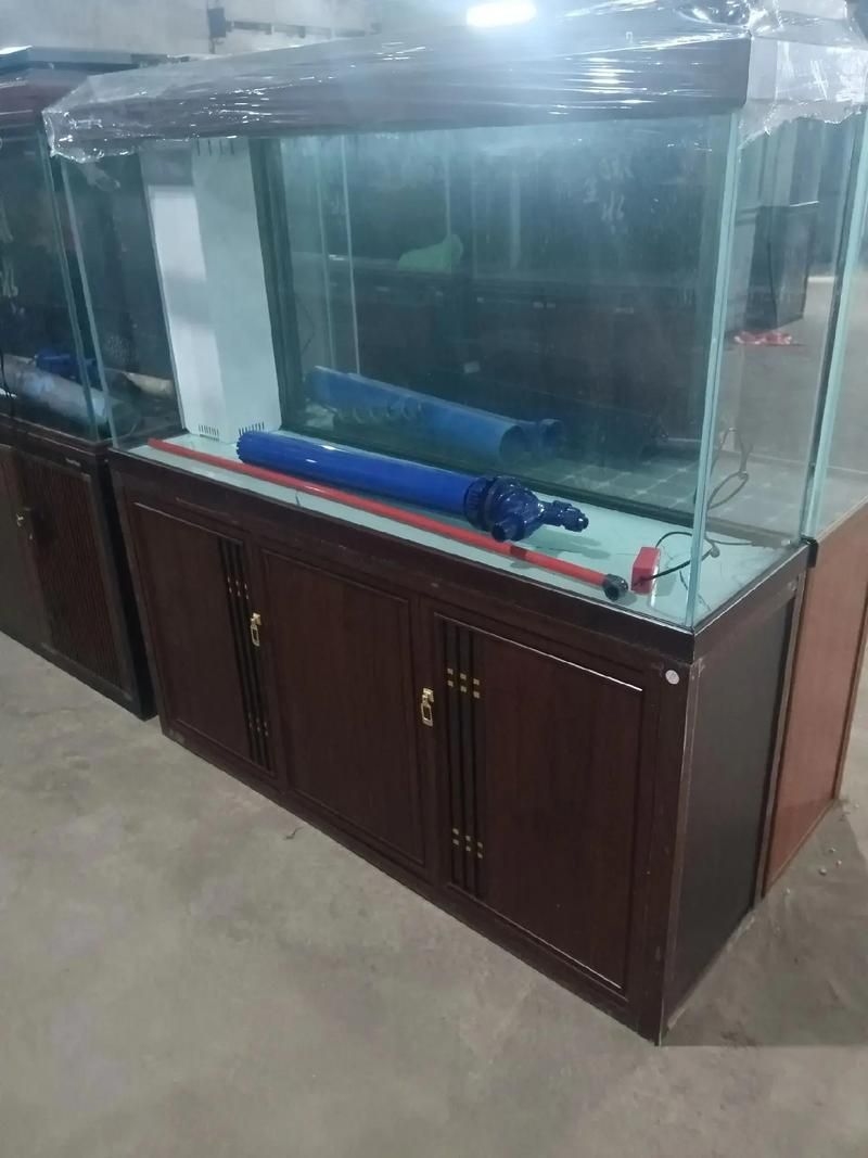 滁州魚缸批發(fā)市場（滁州魚缸批發(fā)市場和祥龍魚場的營銷策略幫你整理得明明白白） 行業(yè)新聞 第10張