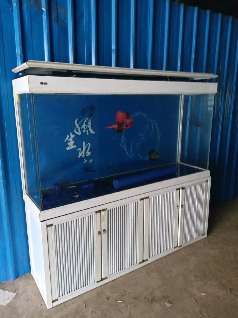 滁州魚缸批發(fā)市場（滁州魚缸批發(fā)市場和祥龍魚場的營銷策略幫你整理得明明白白） 行業(yè)新聞 第11張