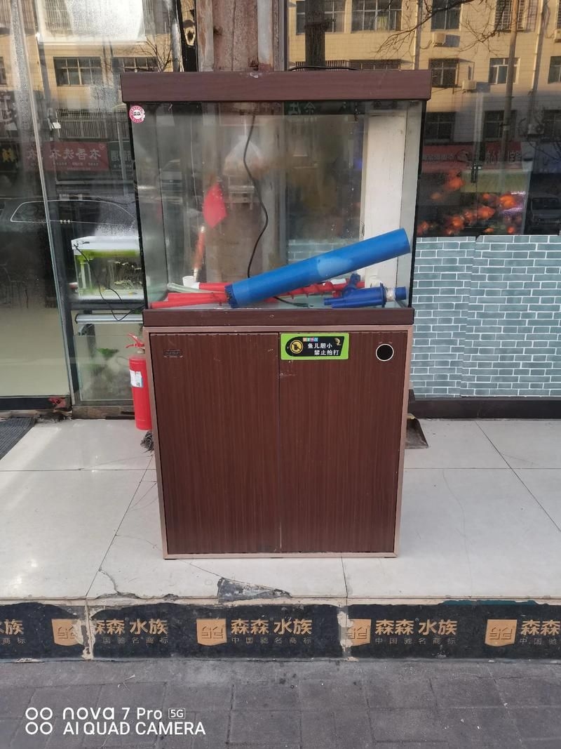 滁州魚缸批發(fā)市場（滁州魚缸批發(fā)市場和祥龍魚場的營銷策略幫你整理得明明白白） 行業(yè)新聞 第12張