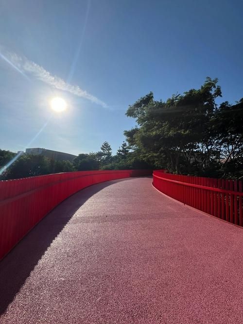 給我推薦一些經(jīng)典的鋼結(jié)構景觀橋案例（給我推薦一些經(jīng)典的鋼結(jié)構景觀橋案例,嘿，看來你對景觀橋很感興趣） 行業(yè)新聞 第2張