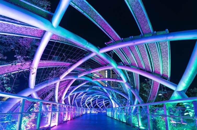 給我推薦一些經(jīng)典的鋼結(jié)構景觀橋案例（給我推薦一些經(jīng)典的鋼結(jié)構景觀橋案例,嘿，看來你對景觀橋很感興趣） 行業(yè)新聞 第4張