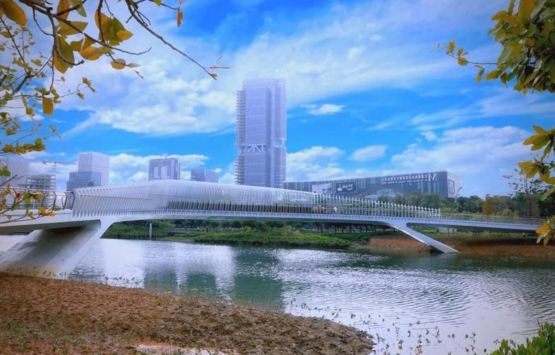 給我推薦一些經(jīng)典的鋼結(jié)構景觀橋案例（給我推薦一些經(jīng)典的鋼結(jié)構景觀橋案例,嘿，看來你對景觀橋很感興趣） 行業(yè)新聞 第8張