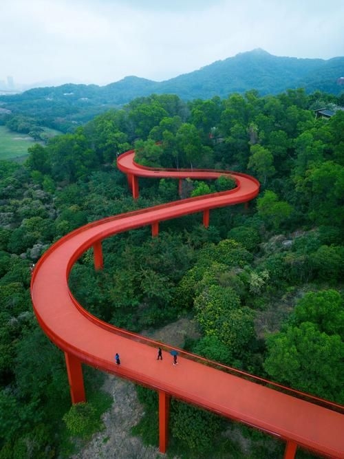 給我推薦一些經(jīng)典的鋼結(jié)構景觀橋案例（給我推薦一些經(jīng)典的鋼結(jié)構景觀橋案例,嘿，看來你對景觀橋很感興趣） 行業(yè)新聞 第10張