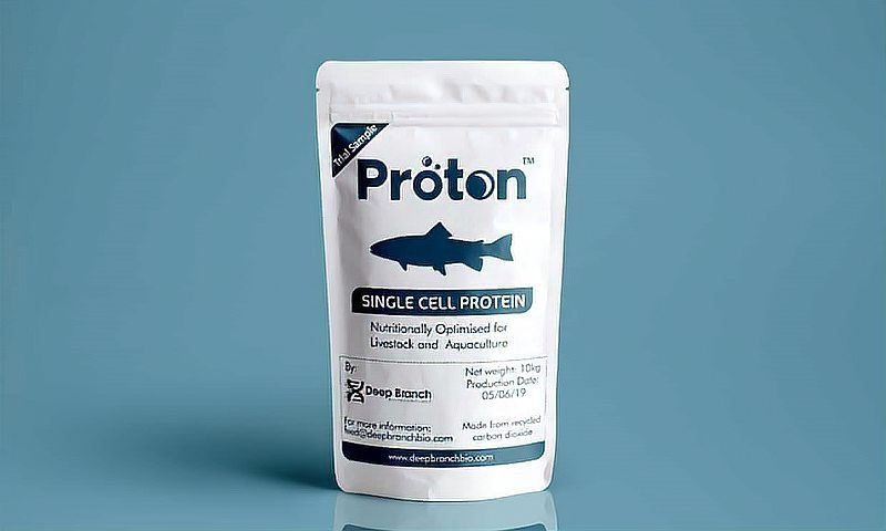 空心碳的應(yīng)用有哪些？（空心碳在燃料電池中的具體制備方法） 行業(yè)新聞 第1張