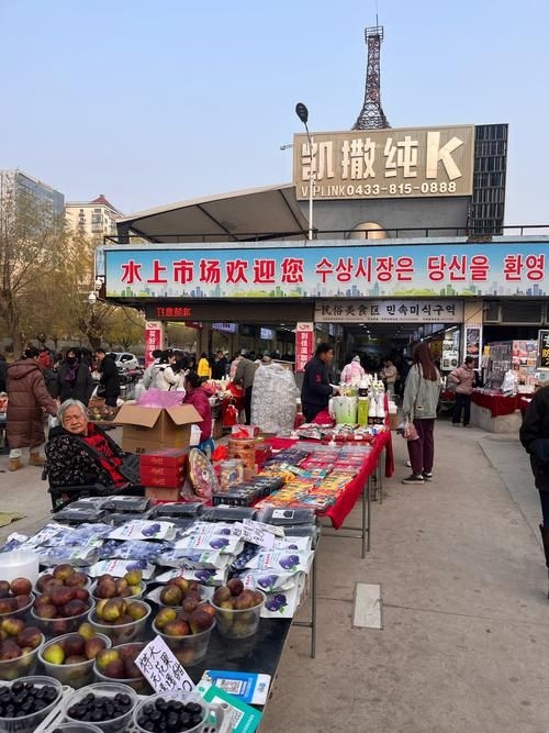 喀什地區(qū)水族批發(fā)市場 行業(yè)新聞 第5張