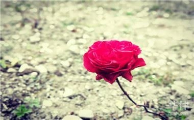 如何證明開發(fā)商存在欺詐行為？ 行業(yè)新聞 第2張