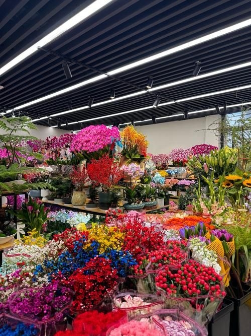 昆明觀賞魚批發(fā)市場 行業(yè)新聞 第12張