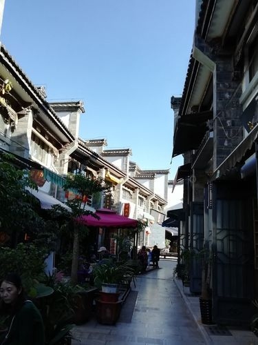 昆明觀賞魚批發(fā)市場 行業(yè)新聞 第15張