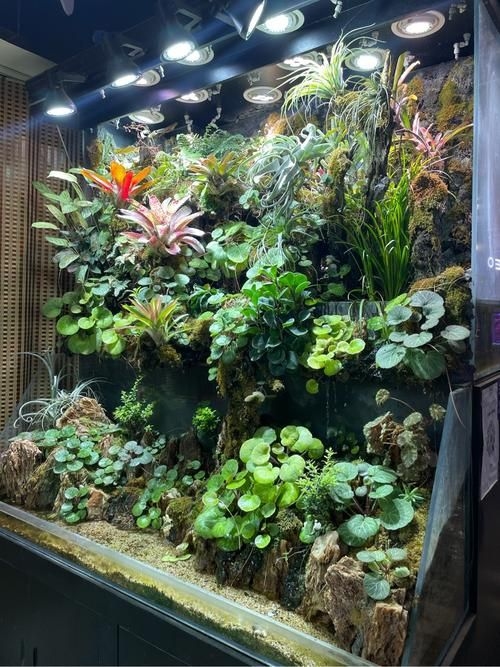 昆明觀賞魚批發(fā)市場 行業(yè)新聞 第19張