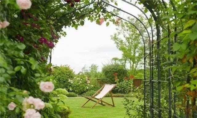 如何選擇適合別墅花園的植物？ 行業(yè)新聞 第1張