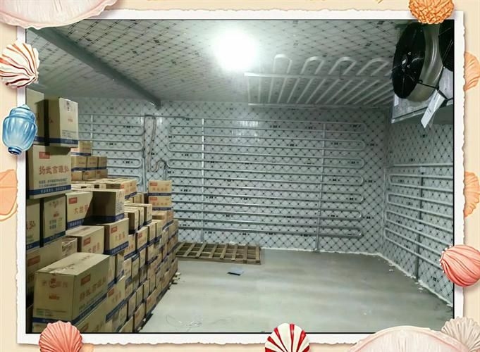 如何選擇適合的冷庫(kù)貨架？（冷庫(kù)貨架選擇適合的冷庫(kù)貨架選型指南（北京冬季低溫）） 行業(yè)新聞 第1張