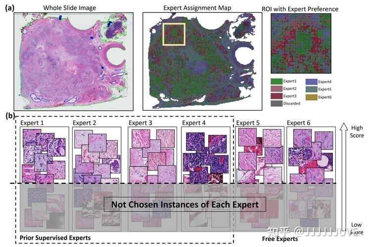 2026年莫斯科鋼結(jié)構(gòu)展的亮點是什么 行業(yè)新聞 第1張