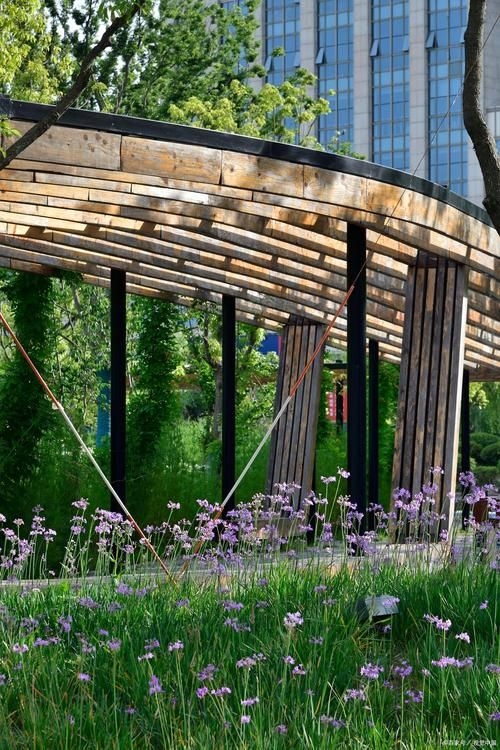 如何找到高清的景觀廊架圖片？（如何找到高清景觀廊架圖片）