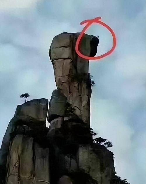 這些案例中哪個(gè)最有影響力？（“巨蟒峰案”最具影響力） 行業(yè)新聞 第2張