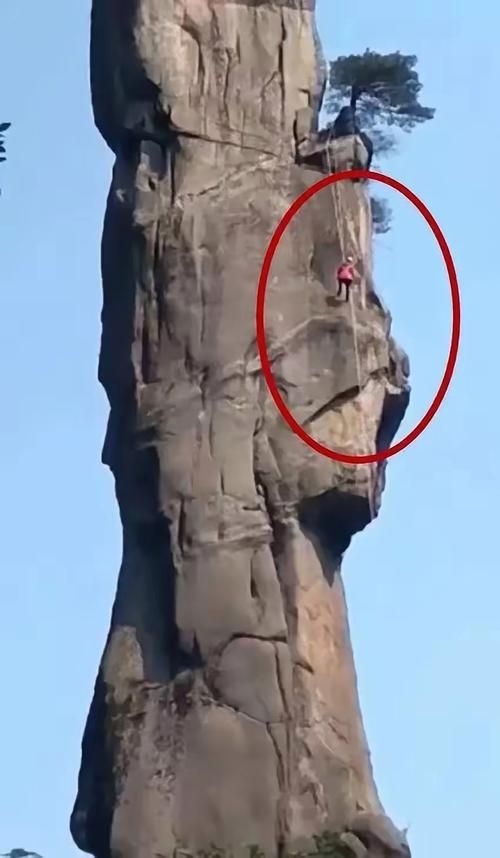 這些案例中哪個(gè)最有影響力？（“巨蟒峰案”最具影響力） 行業(yè)新聞 第3張