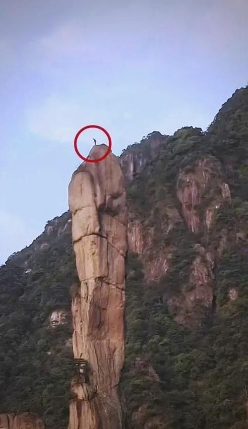 這些案例中哪個(gè)最有影響力？（“巨蟒峰案”最具影響力） 行業(yè)新聞 第4張