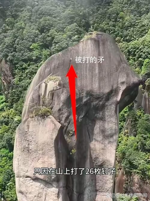 這些案例中哪個(gè)最有影響力？（“巨蟒峰案”最具影響力） 行業(yè)新聞 第5張