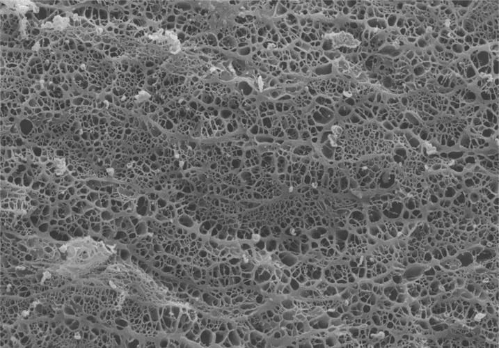 如何確定合適的水灰比？（如何確定水灰比） 行業(yè)新聞 第9張