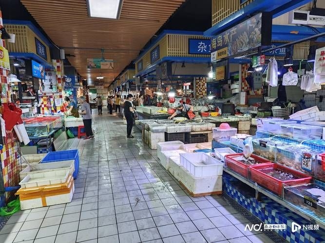 江門(mén)水族批發(fā)市場(chǎng)（江門(mén)水族批發(fā)市場(chǎng)1.龍魚(yú)批發(fā)|觀賞魚(yú)批發(fā)視頻網(wǎng)） 行業(yè)新聞 第1張