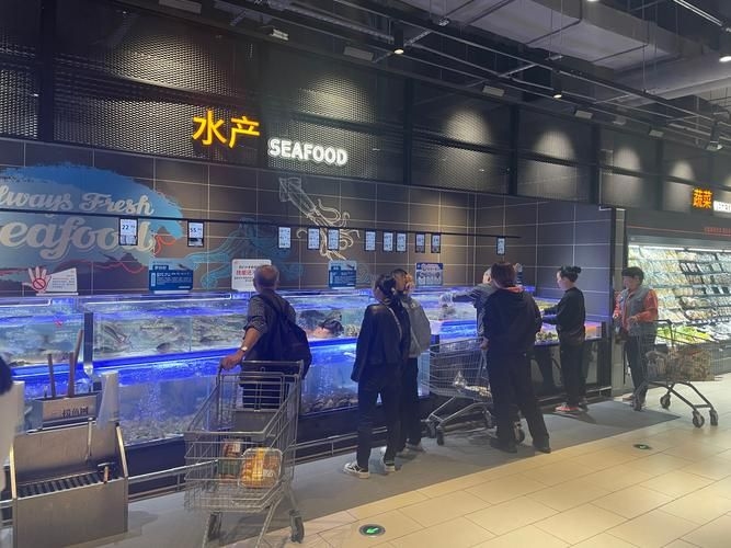 江門(mén)水族批發(fā)市場(chǎng)（江門(mén)水族批發(fā)市場(chǎng)1.龍魚(yú)批發(fā)|觀賞魚(yú)批發(fā)視頻網(wǎng)） 行業(yè)新聞 第4張