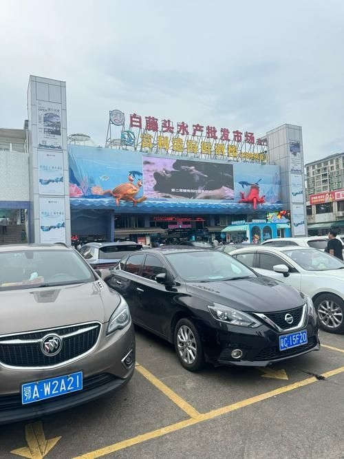 江門(mén)水族批發(fā)市場(chǎng)（江門(mén)水族批發(fā)市場(chǎng)1.龍魚(yú)批發(fā)|觀賞魚(yú)批發(fā)視頻網(wǎng)） 行業(yè)新聞 第5張