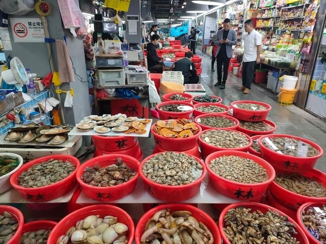 江門(mén)水族批發(fā)市場(chǎng)（江門(mén)水族批發(fā)市場(chǎng)1.龍魚(yú)批發(fā)|觀賞魚(yú)批發(fā)視頻網(wǎng)） 行業(yè)新聞 第6張