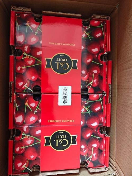 有哪些品牌值得考慮？（2026年初中國主流消費(fèi)趨勢深度演進(jìn)的“值得重點(diǎn)考慮”） 行業(yè)新聞 第17張