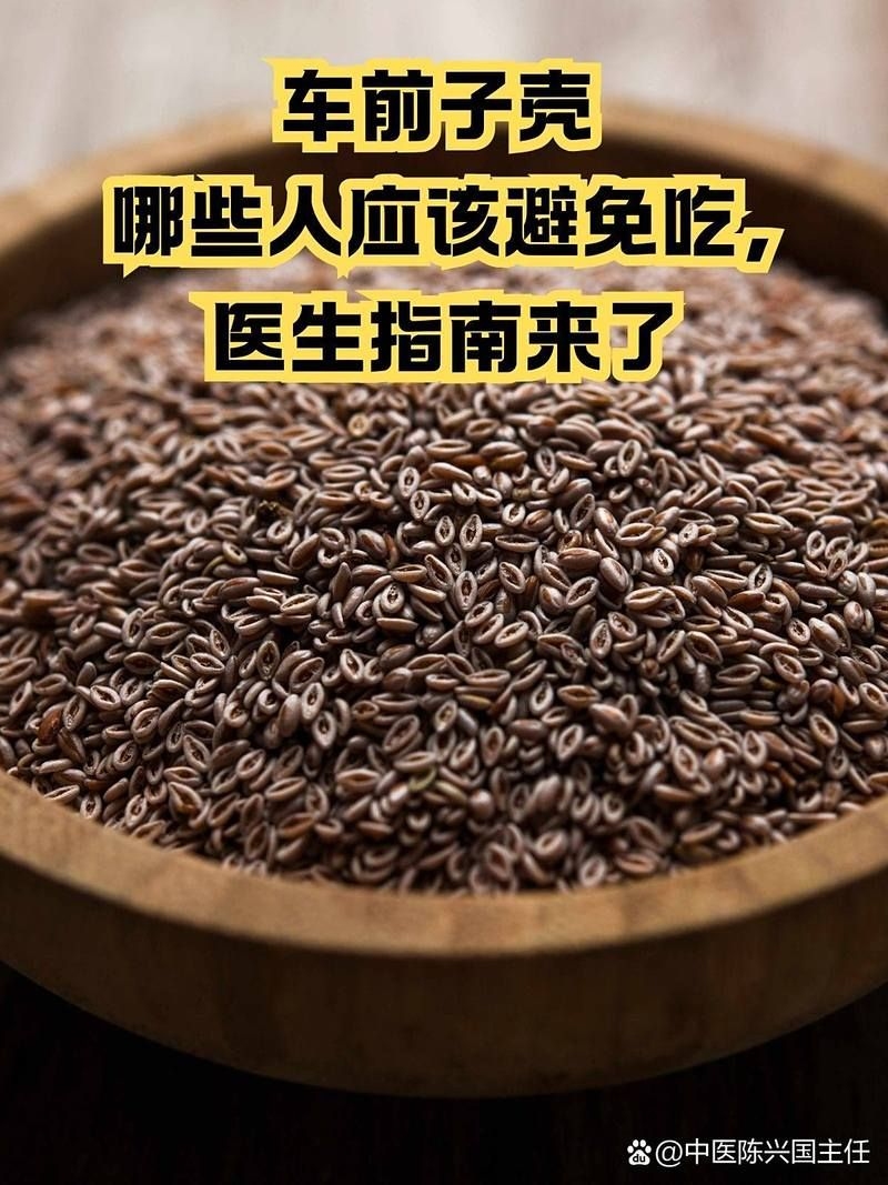 車前子殼有哪些副作用？（車前子殼使用注意事項(xiàng)清單，幫你安全避開(kāi)副作用風(fēng)險(xiǎn)） 行業(yè)新聞 第2張