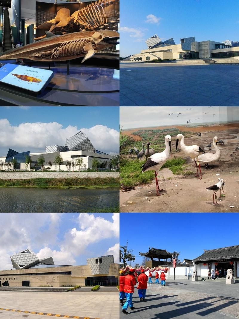 有沒有更多建筑改造加固的案例？（三里河一區(qū)28號(hào)樓、雙柳巷小區(qū)28號(hào)樓原拆原建、鹽城黃海濕地博物館） 行業(yè)新聞 第9張