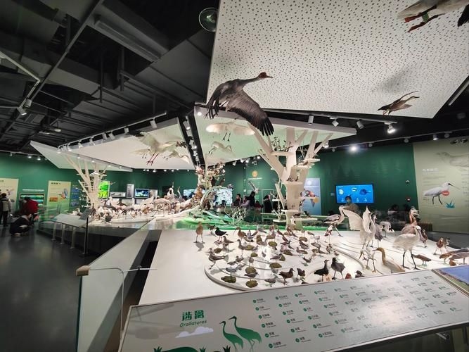 有沒有更多建筑改造加固的案例？（三里河一區(qū)28號(hào)樓、雙柳巷小區(qū)28號(hào)樓原拆原建、鹽城黃海濕地博物館） 行業(yè)新聞 第11張